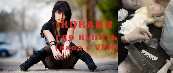 бошки Осинники