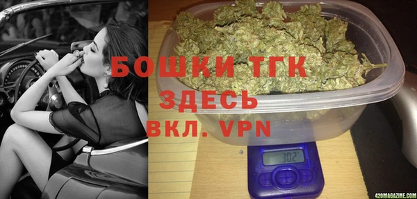 бошки Осинники
