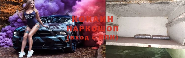 бошки Осинники